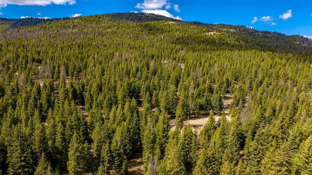 1583 Wild Bill Road Kila MT 59920