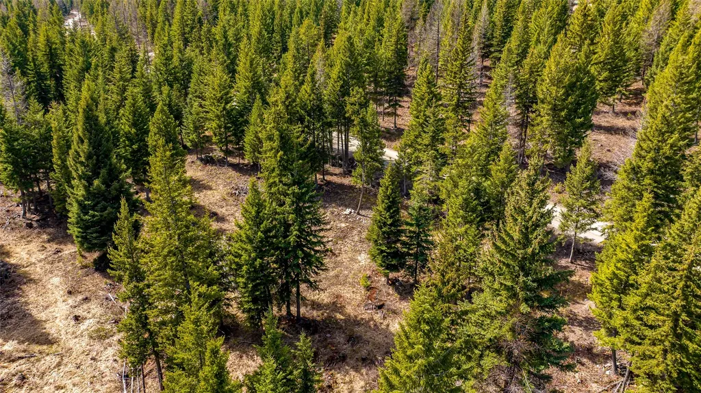 1583 Wild Bill Road Kila MT 59920
