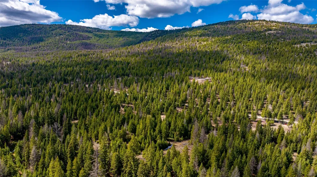 1583 Wild Bill Road Kila MT 59920