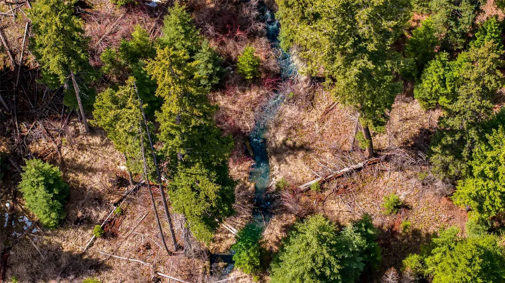 1583 Wild Bill Road Kila MT 59920