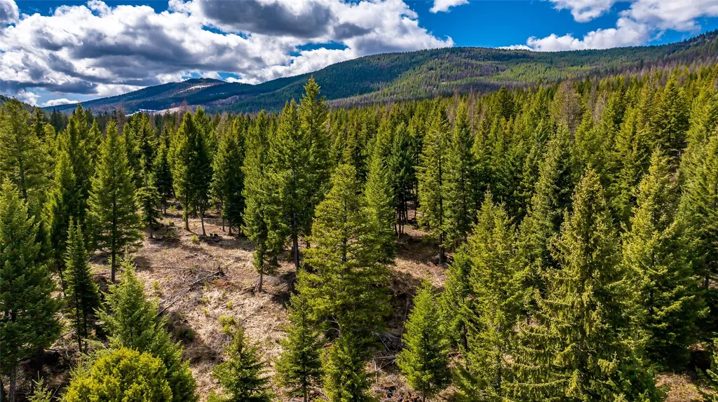 1583 Wild Bill Road Kila MT 59920