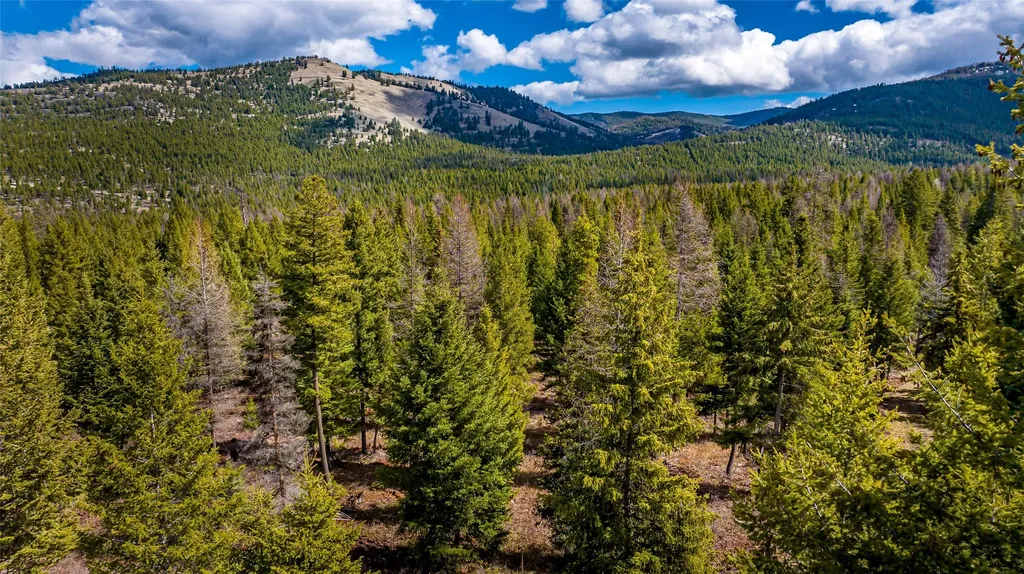 1583 Wild Bill Road Kila MT 59920