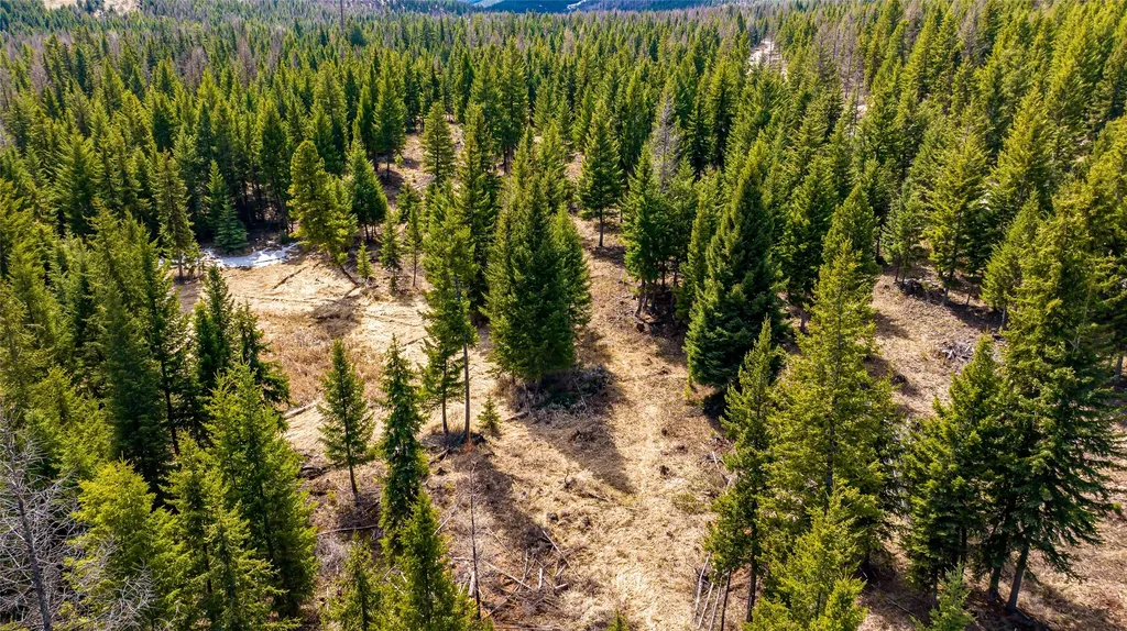 1583 Wild Bill Road Kila MT 59920