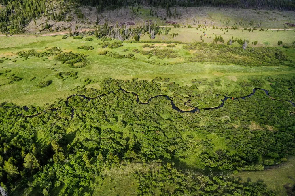 983 Upper Willow Creek Road Philipsburg MT 59858