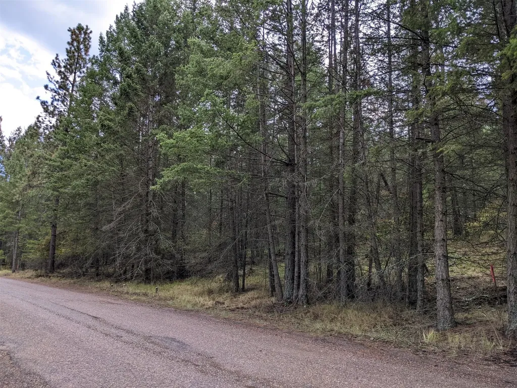 Nhn Hilltop Drive Polson MT 59860