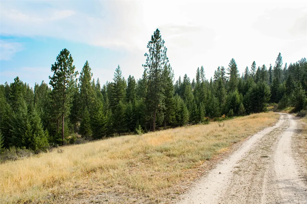 Nhn High Country Road Plains MT 59859