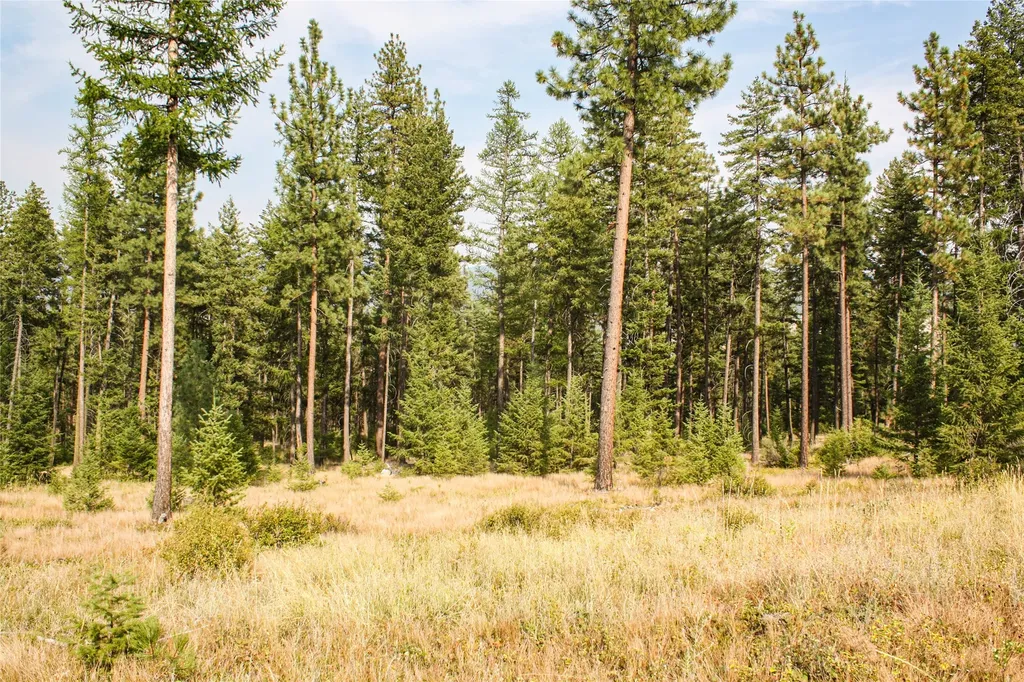 Nhn High Country Road Plains MT 59859