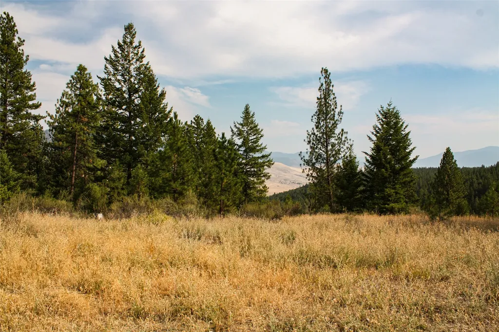 Nhn High Country Road Plains MT 59859