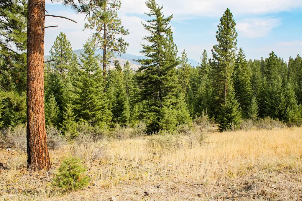 Nhn High Country Road Plains MT 59859