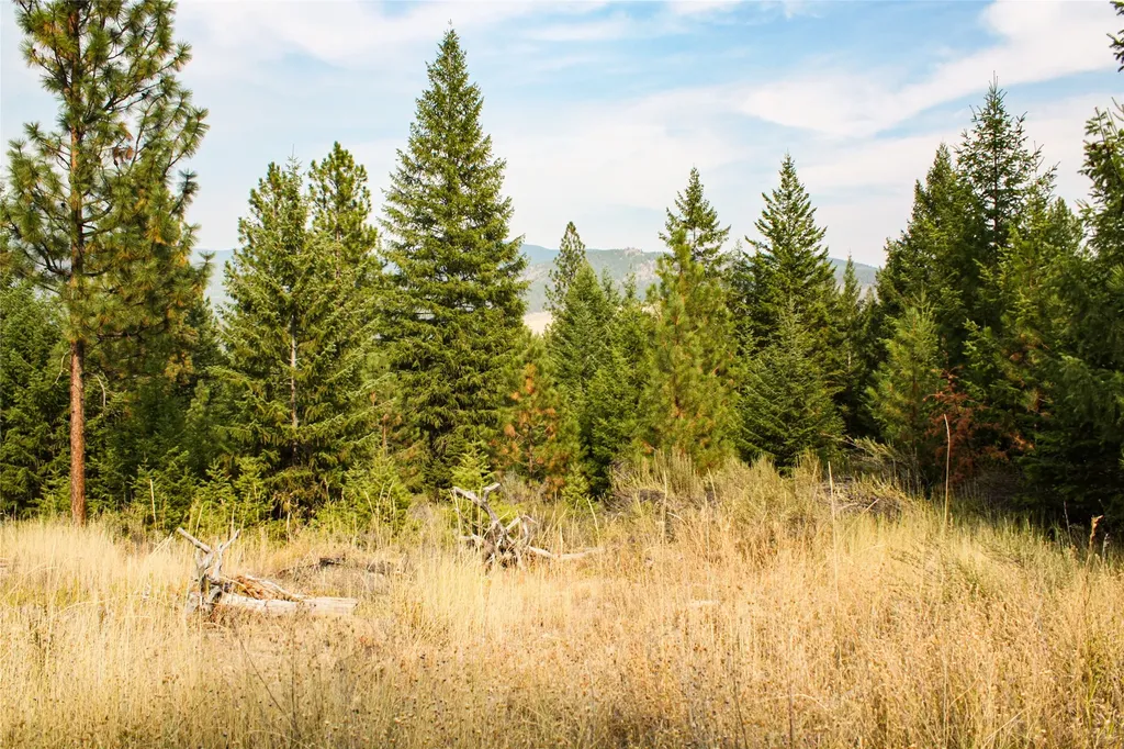 Nhn High Country Road Plains MT 59859