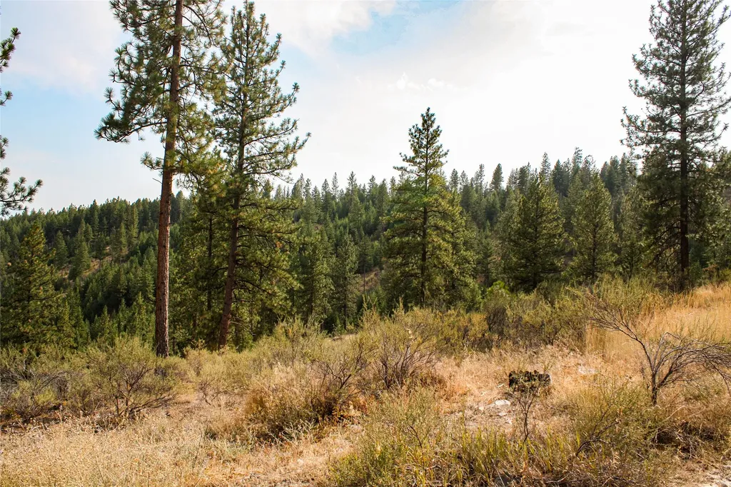 Nhn High Country Road Plains MT 59859