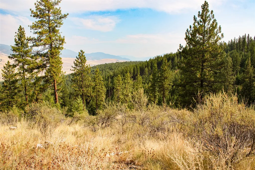 Nhn High Country Road Plains MT 59859