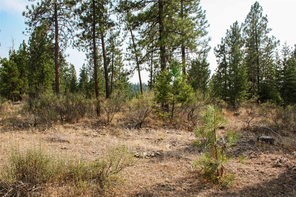 Nhn High Country Road Plains MT 59859