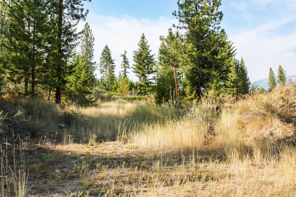 Nhn High Country Road Plains MT 59859