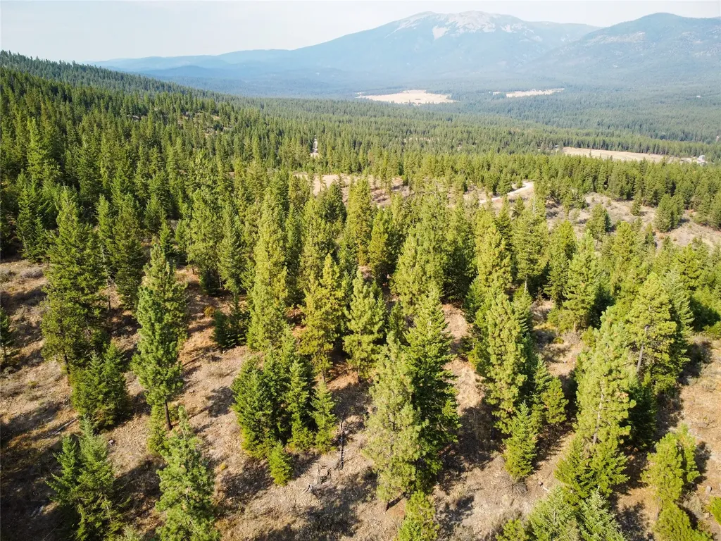 Nhn High Country Road Plains MT 59859