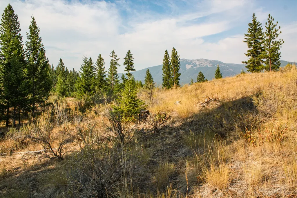 Nhn High Country Road Plains MT 59859