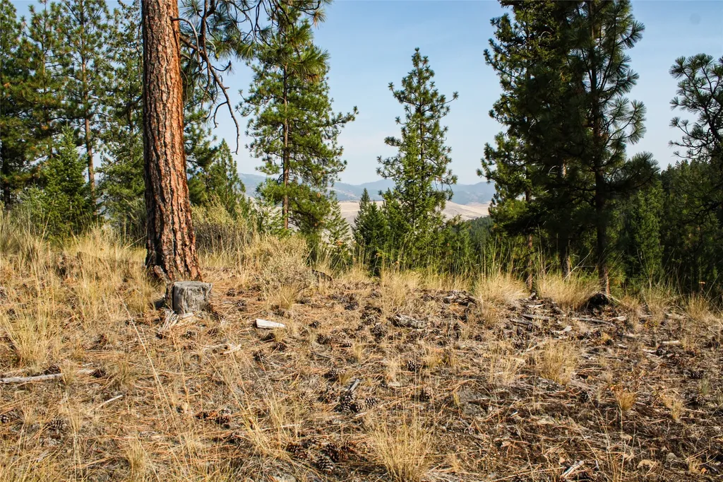 Nhn High Country Road Plains MT 59859