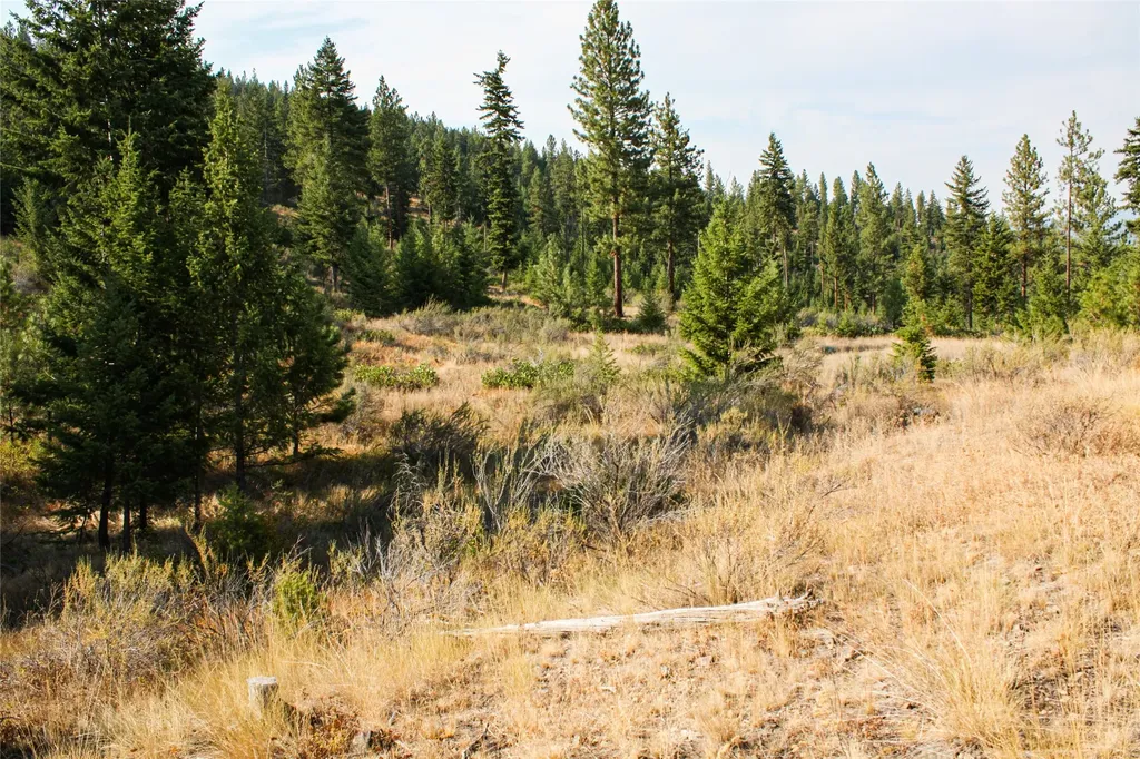 Nhn High Country Road Plains MT 59859