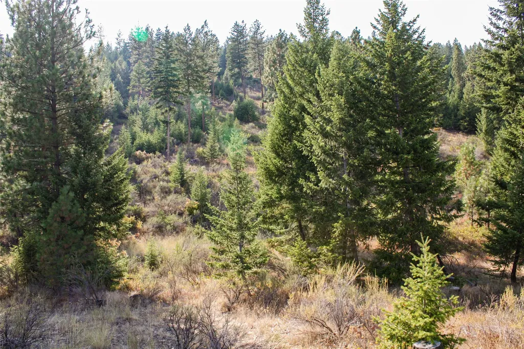 Nhn High Country Road Plains MT 59859