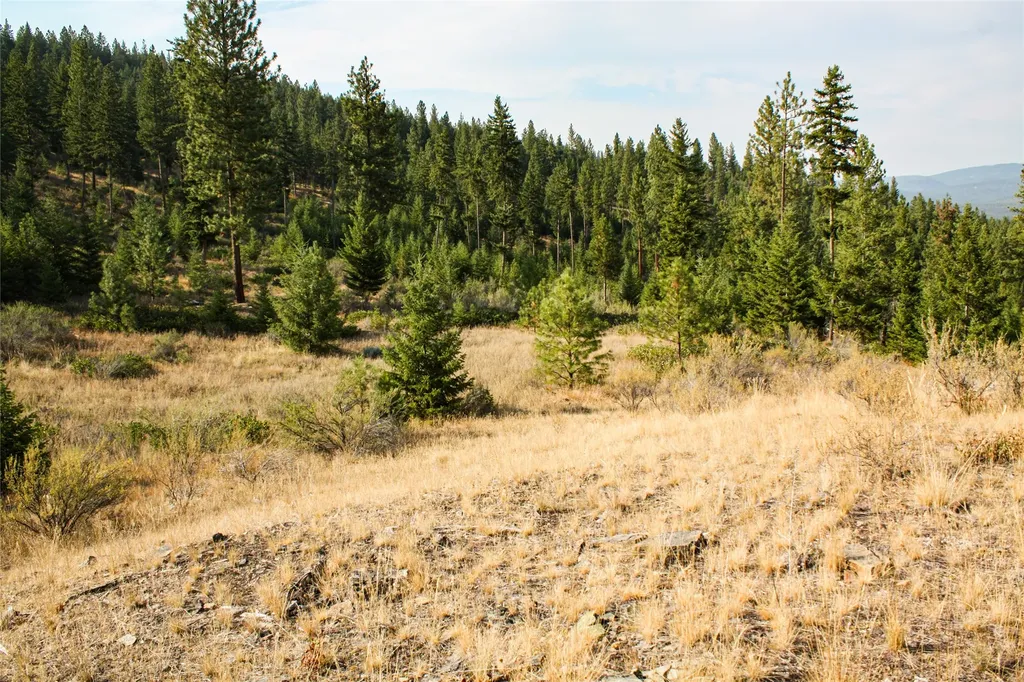 Nhn High Country Road Plains MT 59859