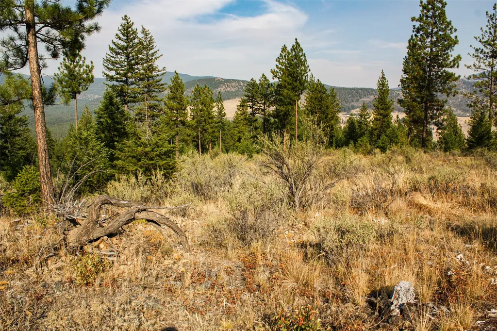 Nhn High Country Road Plains MT 59859