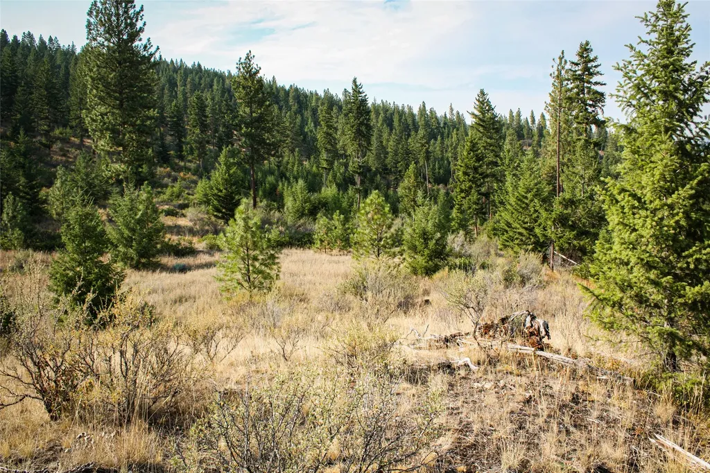 Nhn High Country Road Plains MT 59859