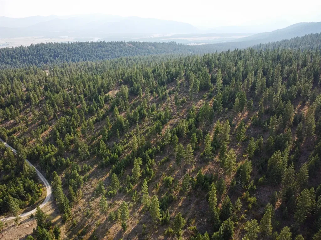 Nhn High Country Road Plains MT 59859