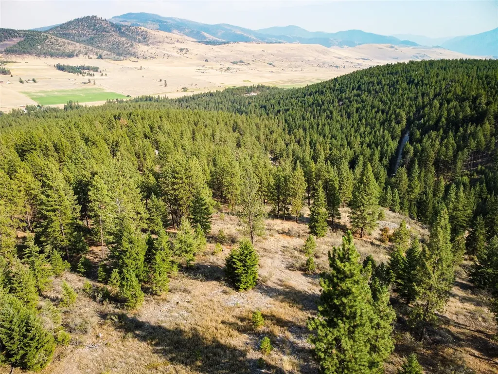 Nhn High Country Road Plains MT 59859
