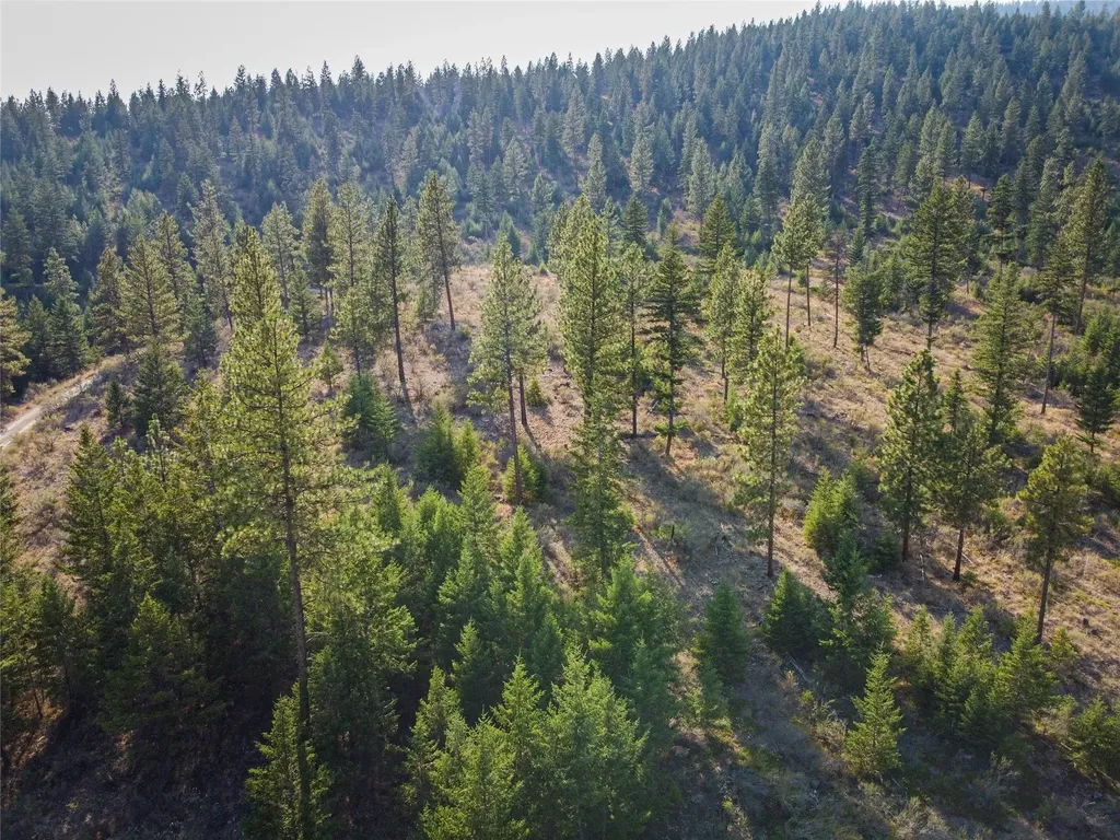 Nhn High Country Road Plains MT 59859
