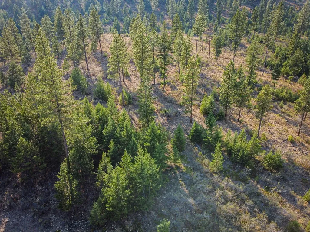 Nhn High Country Road Plains MT 59859