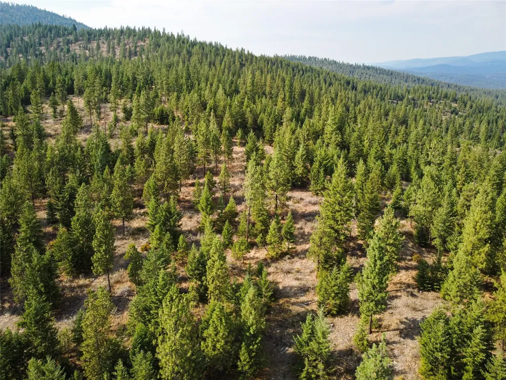 Nhn High Country Road Plains MT 59859