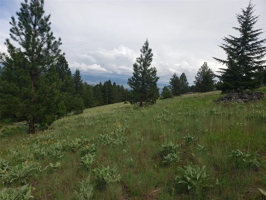 Nhn Oertli Lane Hamilton MT 59840
