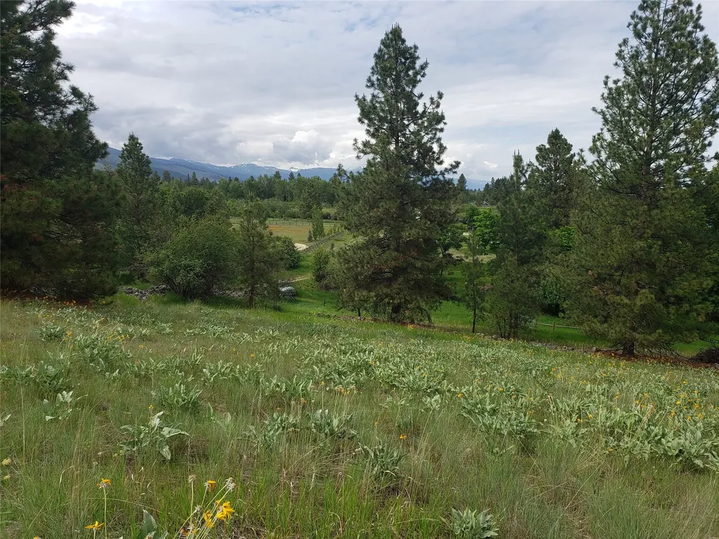 Nhn Oertli Lane Hamilton MT 59840