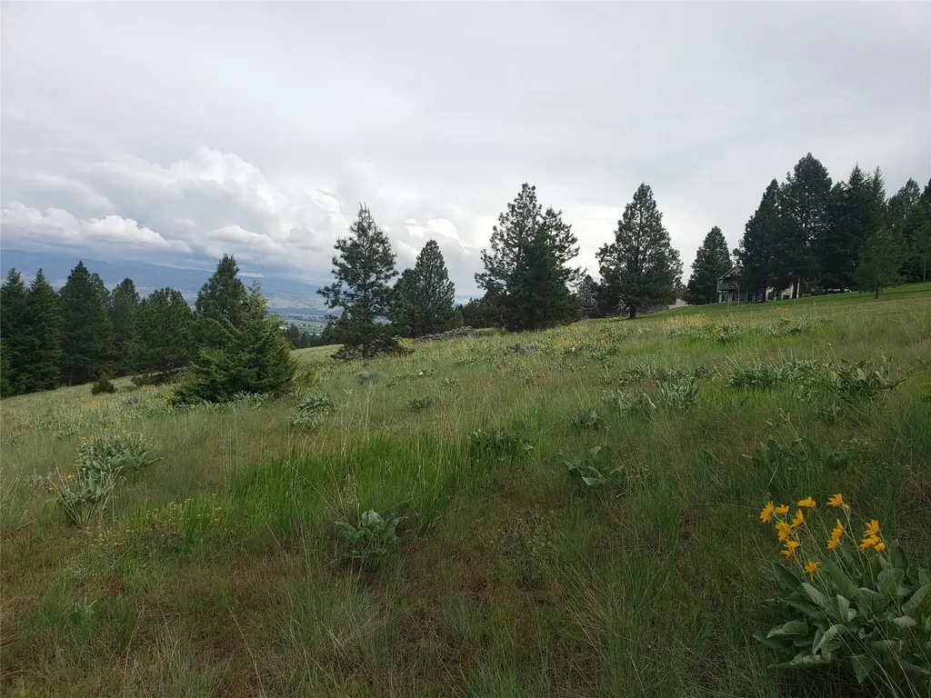Nhn Oertli Lane Hamilton MT 59840