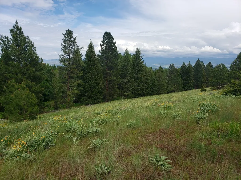 Nhn Oertli Lane Hamilton MT 59840