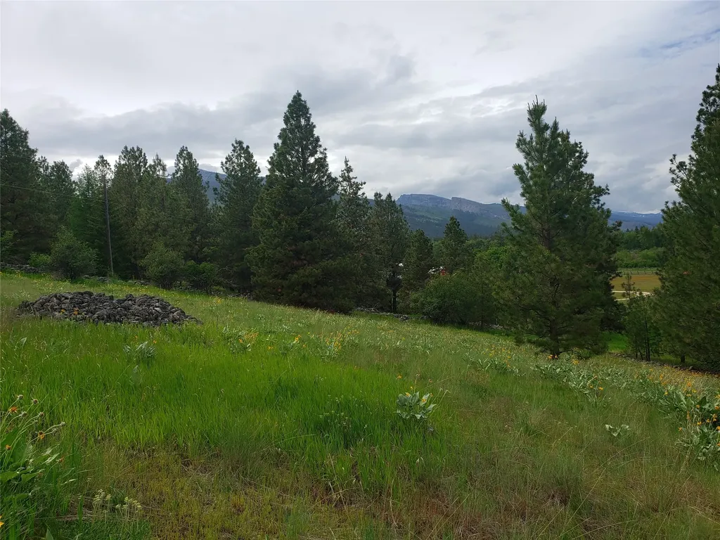 Nhn Oertli Lane Hamilton MT 59840