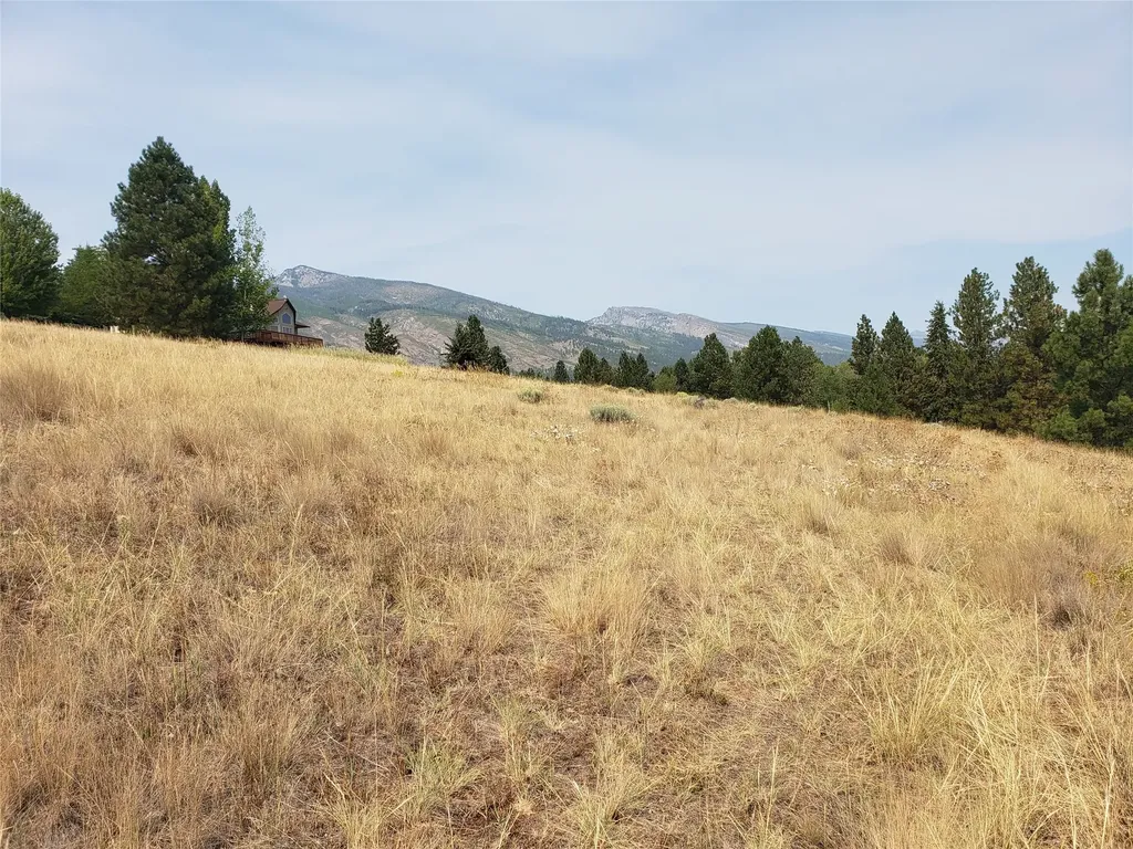 Nhn Oertli Lane Hamilton MT 59840