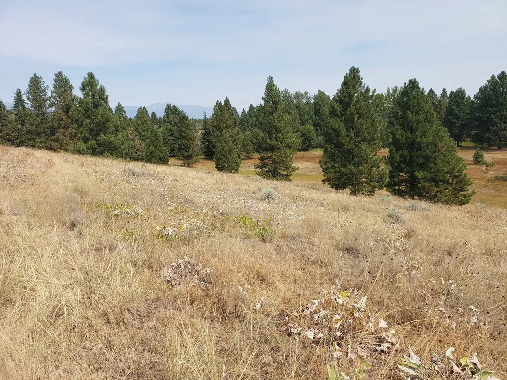 Nhn Oertli Lane Hamilton MT 59840