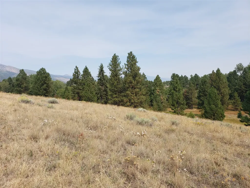 Nhn Oertli Lane Hamilton MT 59840