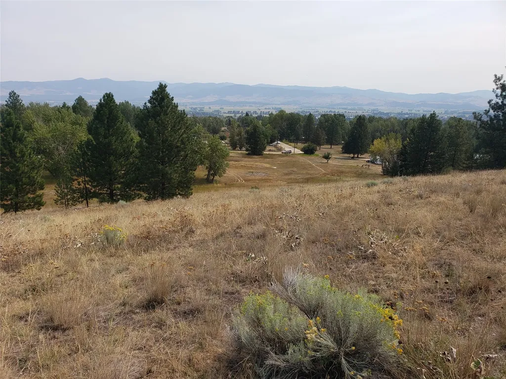 Nhn Oertli Lane Hamilton MT 59840