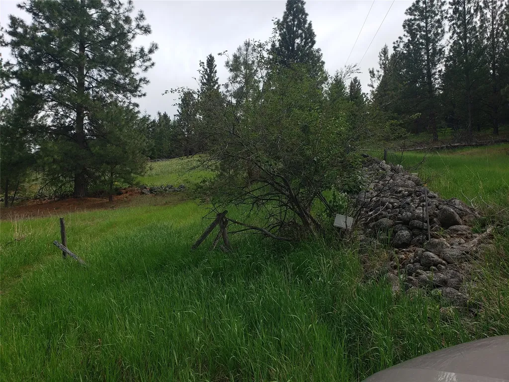 Nhn Oertli Lane Hamilton MT 59840