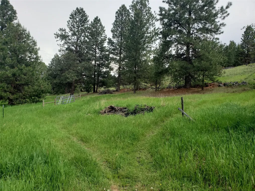 Nhn Oertli Lane Hamilton MT 59840