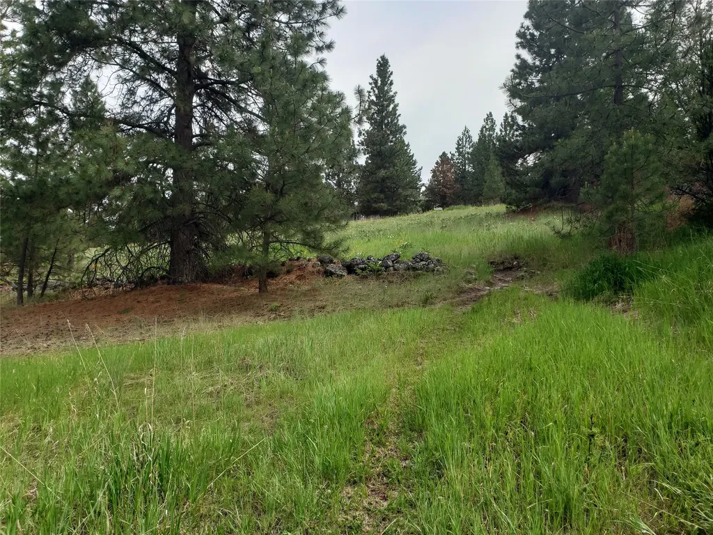 Nhn Oertli Lane Hamilton MT 59840