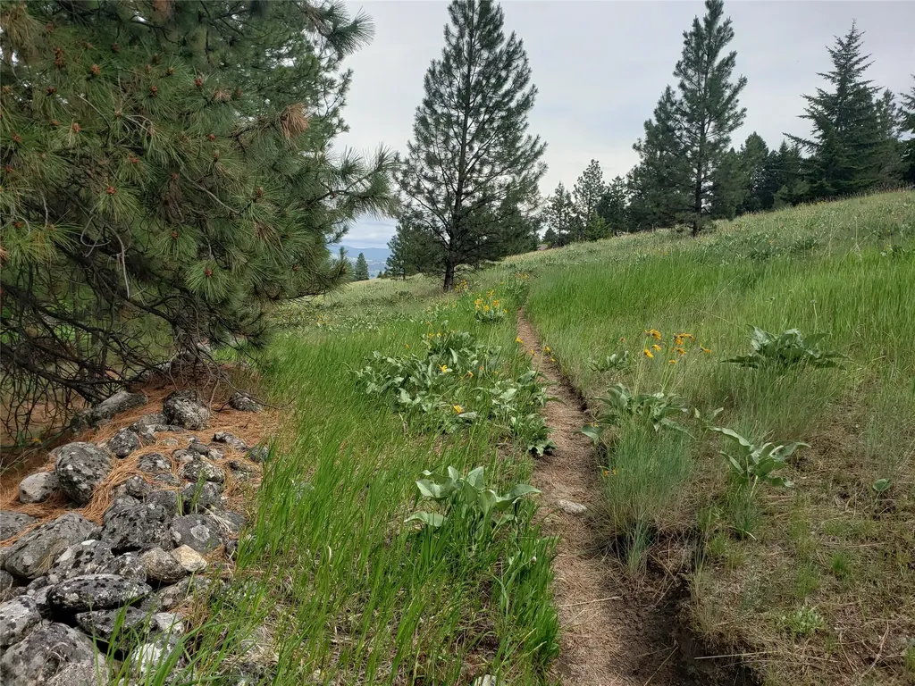 Nhn Oertli Lane Hamilton MT 59840