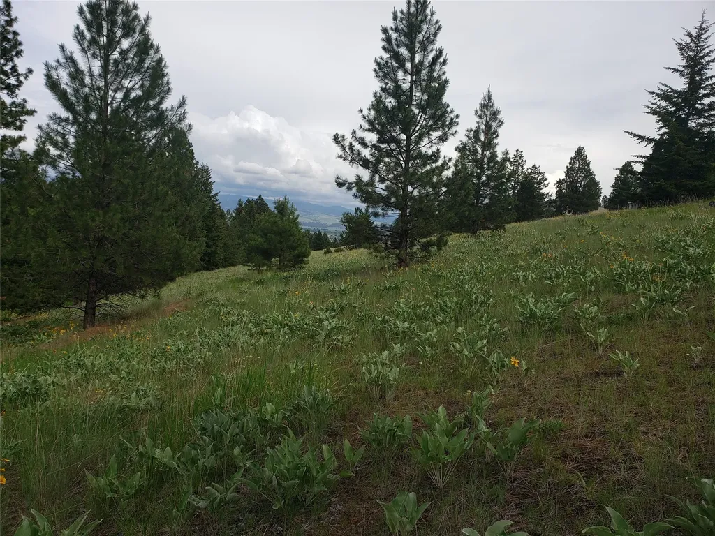 Nhn Oertli Lane Hamilton MT 59840