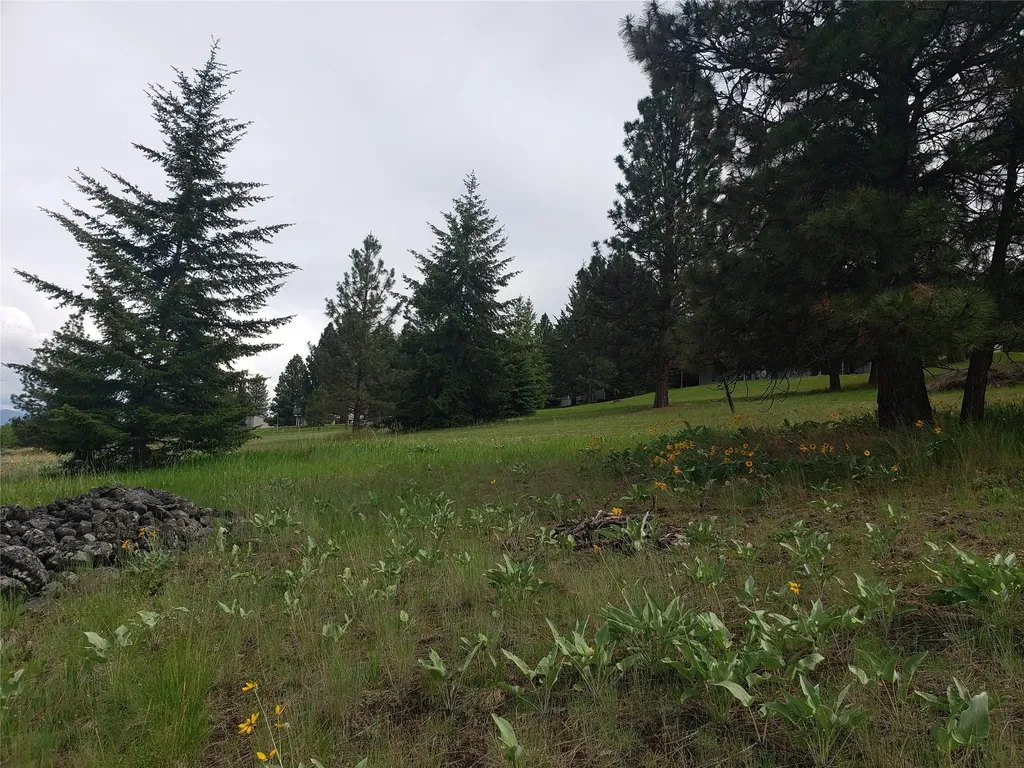 Nhn Oertli Lane Hamilton MT 59840