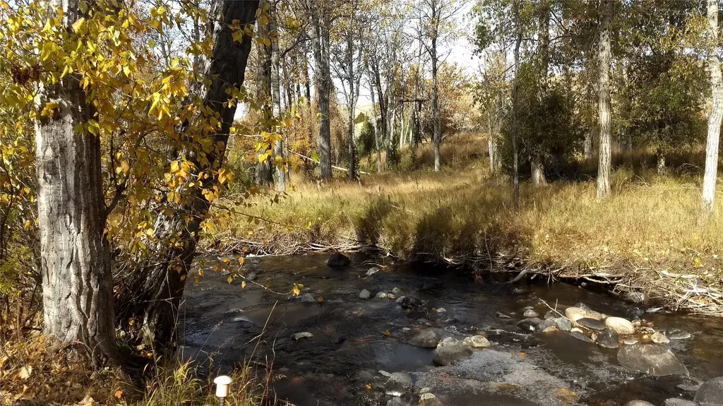 Tbd Mill Creek & Toledo Mine Roads Sheridan MT 59749