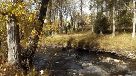 Tbd Mill Creek & Toledo Mine Roads Sheridan MT 59749