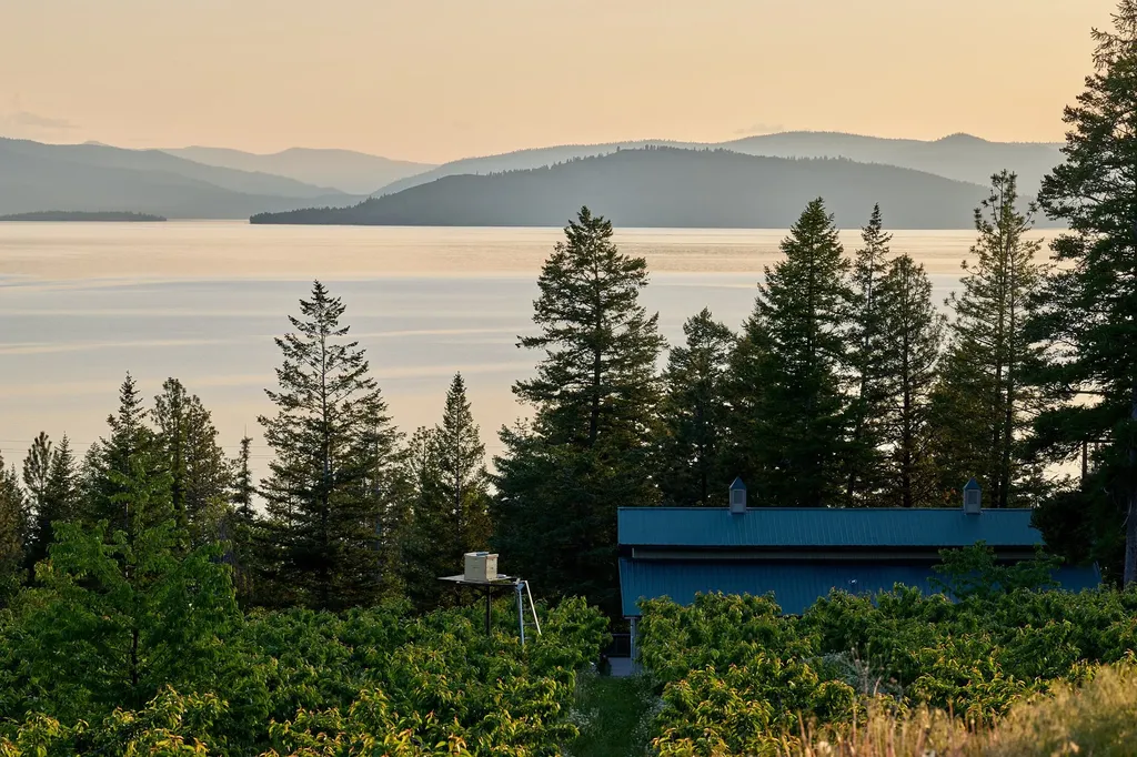 Nhn Sunset Vista Lane Polson MT 59860