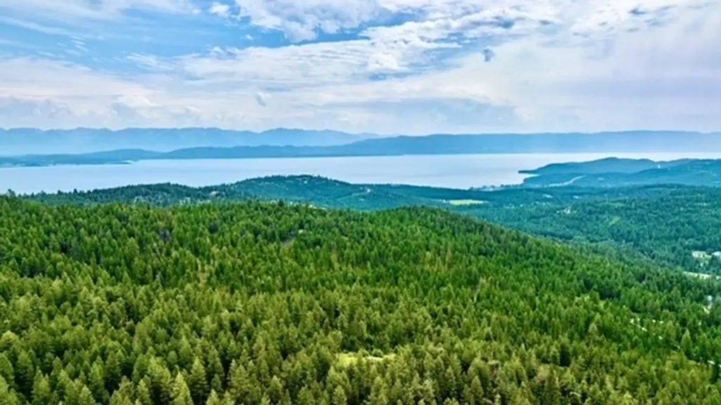 1435 Bierney Creek Road Lakeside MT 59922